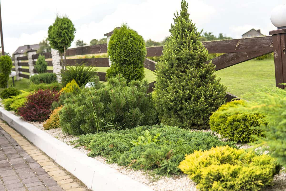 Gartenplanung und Gartengestaltung - Gärtnerei und Baumschule Irrling
