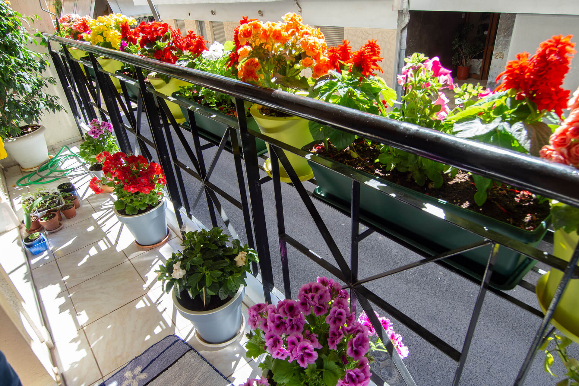 Blumenkästen am Geländer eines Balkons